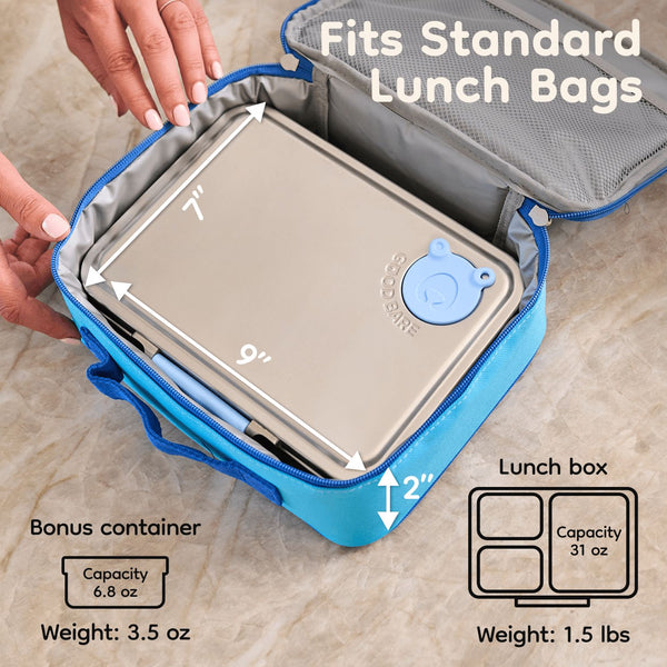 Blue stainless steel lunch box, showing measurements and capacity details.