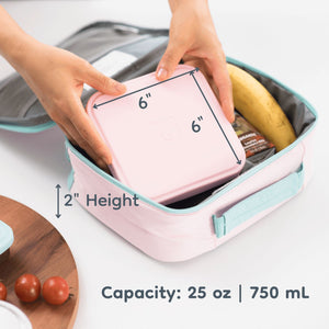 Stainless steel sandwich container with dimensions